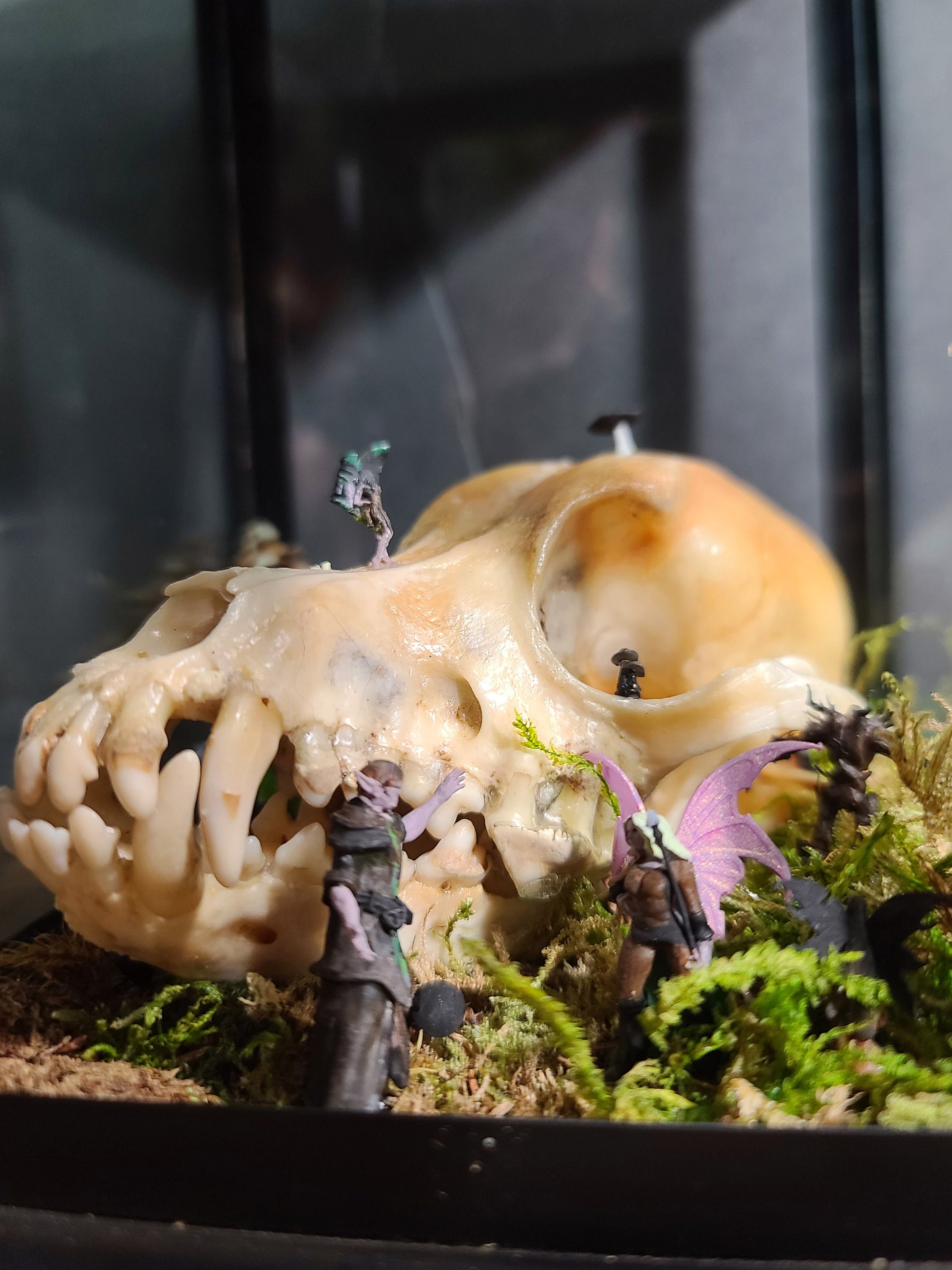 Forest Floor Skull