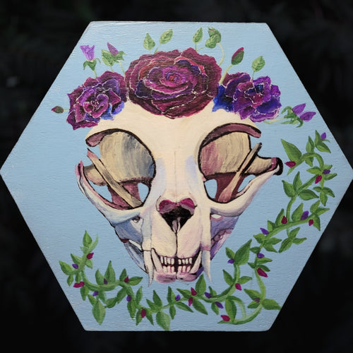 Cat Skull Box